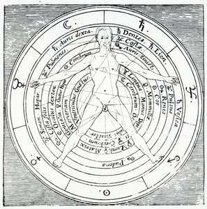 Vitruvian figure, from 