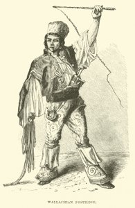 Wallachian Postilion