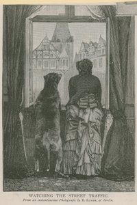 Watching the Street Traffic by English School