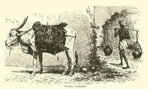 Water Carriers by English School
