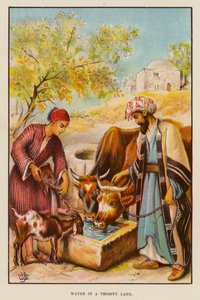Water in a Thirsty Land by English School