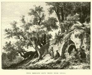 Well beneath Olive trees near Tivoli by English School