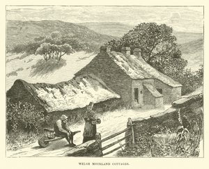 Welsh Moorland Cottages by English School