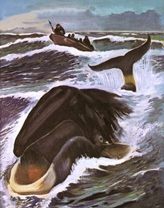 Whale Hunting by English School