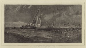 Wild Fowl Shooting on the Thames by English School
