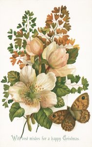 Wild Roses and Butterfly by English School