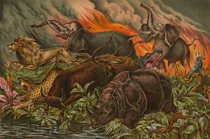 Wild game of Africa fleeing before fire