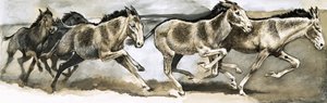 Wildlife in Danger: The Wild Ass by English School