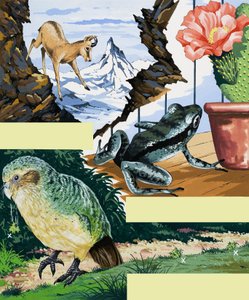 Wildlife Montage by English School