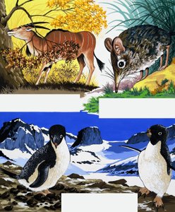 Wildlife Montage by English School
