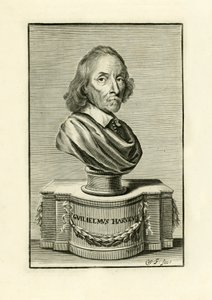 William Harvey by English School