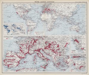 Wine, growing countries by English School