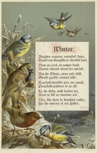 Winter by English School