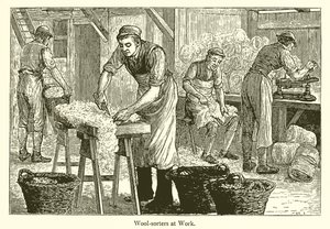 Wool-Sorters