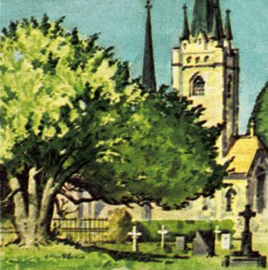Yew tree in a church yard by English School
