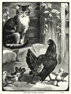 You stole my poor chicken by English School