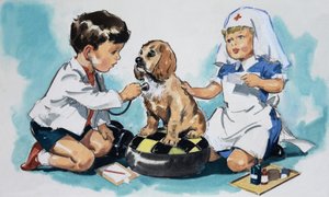 Young Vets by English School
