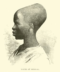 Youth of Senegal by English School