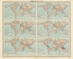 Zoogeography: Mammalia, Cetacea, Sirenia by English School