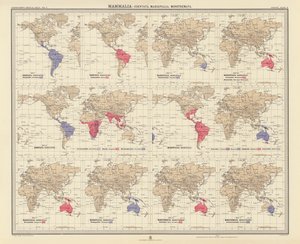 Zoogeography: Mammalia, Edentata, Marsupialia, Monotremata by English School