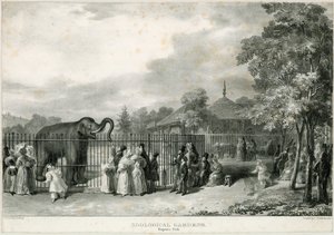 Zoological Gardens, Regents Park by English School