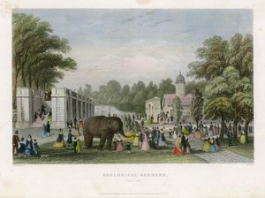 Zoological Gardens, Regents Park