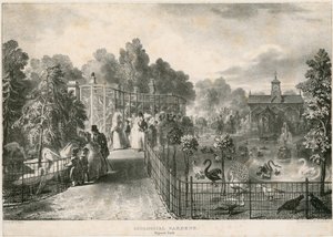 Zoological Gardens, Regents Park