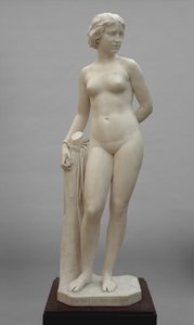 The White Captive by Erastus Dow Palmer