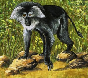 Strange Monkeys by Eric Tansley