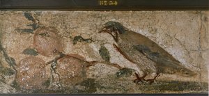 Bird and Fruits from Pompeii, Italy