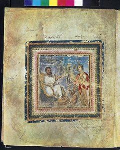 The Discovery of the Mandrake