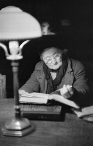 Life in Post-War Vienna: An Elderly Lady Absorbed by Her Book in the Reading Room, Vienna