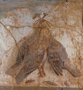 Three Hanging Birds from Pompeii, Italy