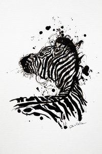 Wild Zebra Ink Splash