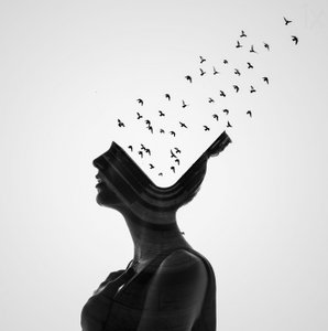Imagination Takes Flight by Erkin Demir