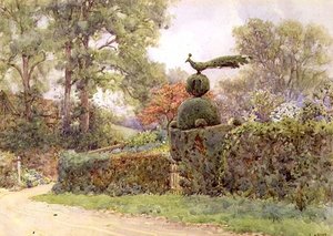 The Old Yew Hedge, Speldhurst, Kent