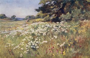 Sunshine in Meadowland by Ernest Benger or Berenger
