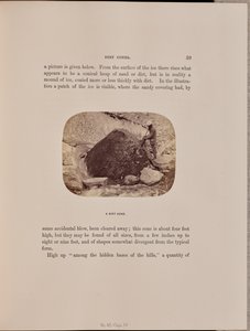 A Dirt-Cone by Ernest H. Edwards