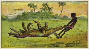Ashanti Man Dragging a Sleeping Crocodile by the Tail