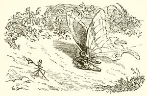 The Ant and the Chrysalis by Ernest Henry Griset
