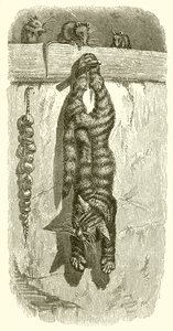 The Cat and the Mice