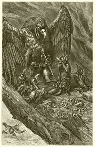 The Eagle and the Fox