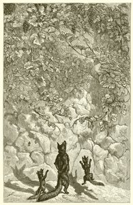The Fox and the Grapes