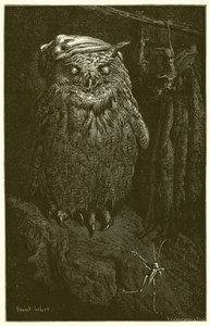 The Owl and the Grasshopper