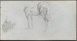 Sketchbook, page 73: Study of a Horse, Profile