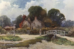 In Brockenhurst Village