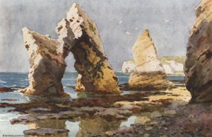 In Freshwater Bay