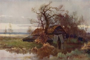 Old Boat-Houses, Barton Broad
