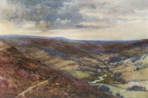 The Moors near Hackness