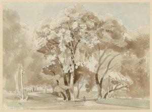 Group of Trees in the Park of Villa Borghese in Rome by Ernst Fries